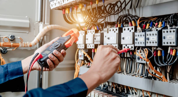 Best Home Electrical Repair  in Braidwood, IL