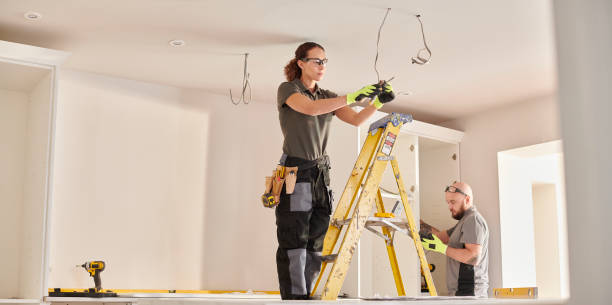Best Electrician Near Me  in Braidwood, IL