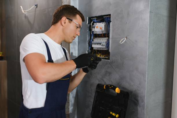 Best Ceiling Fan Installation Electrician  in Braidwood, IL