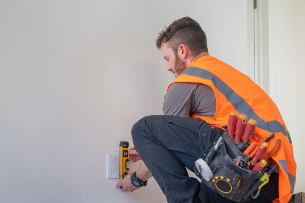 Best Electrical Troubleshooting Services  in Braidwood, IL