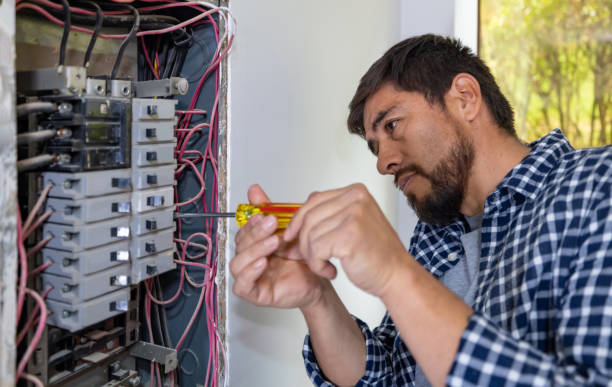 Best Affordable Emergency Electrician  in Braidwood, IL